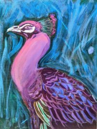 purple_peacock